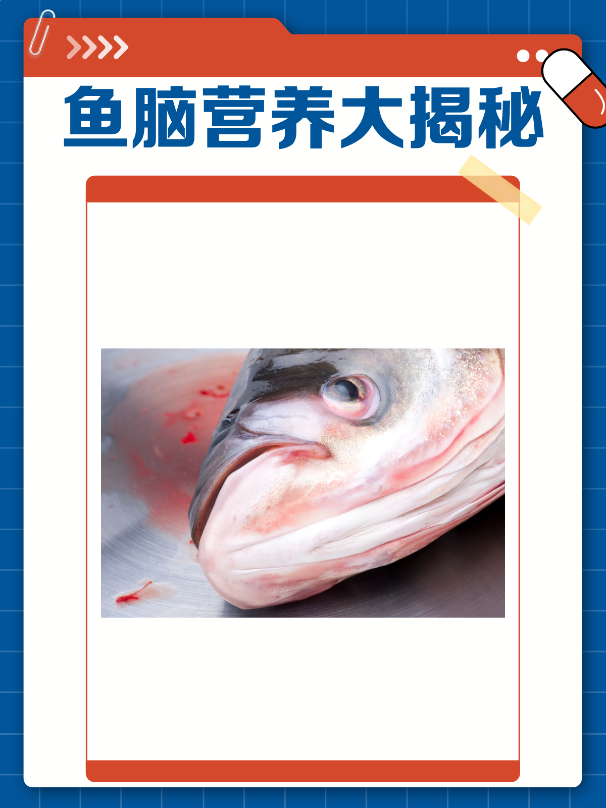 吃鱼脑真的能变聪明吗?脑营养大揭秘!