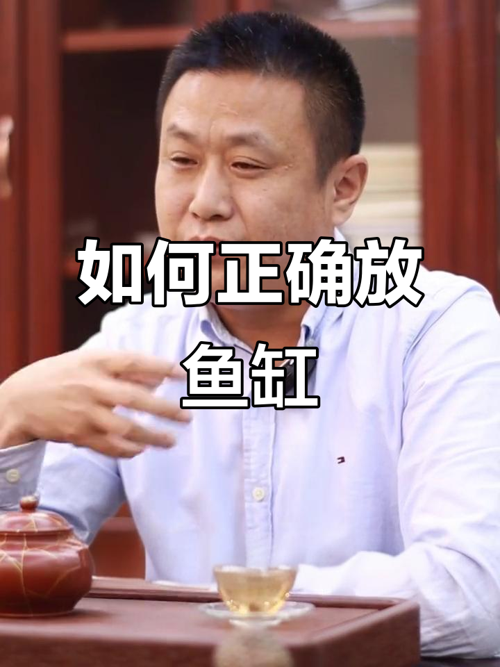 鱼缸摆放的最佳位置,让家居更有生气