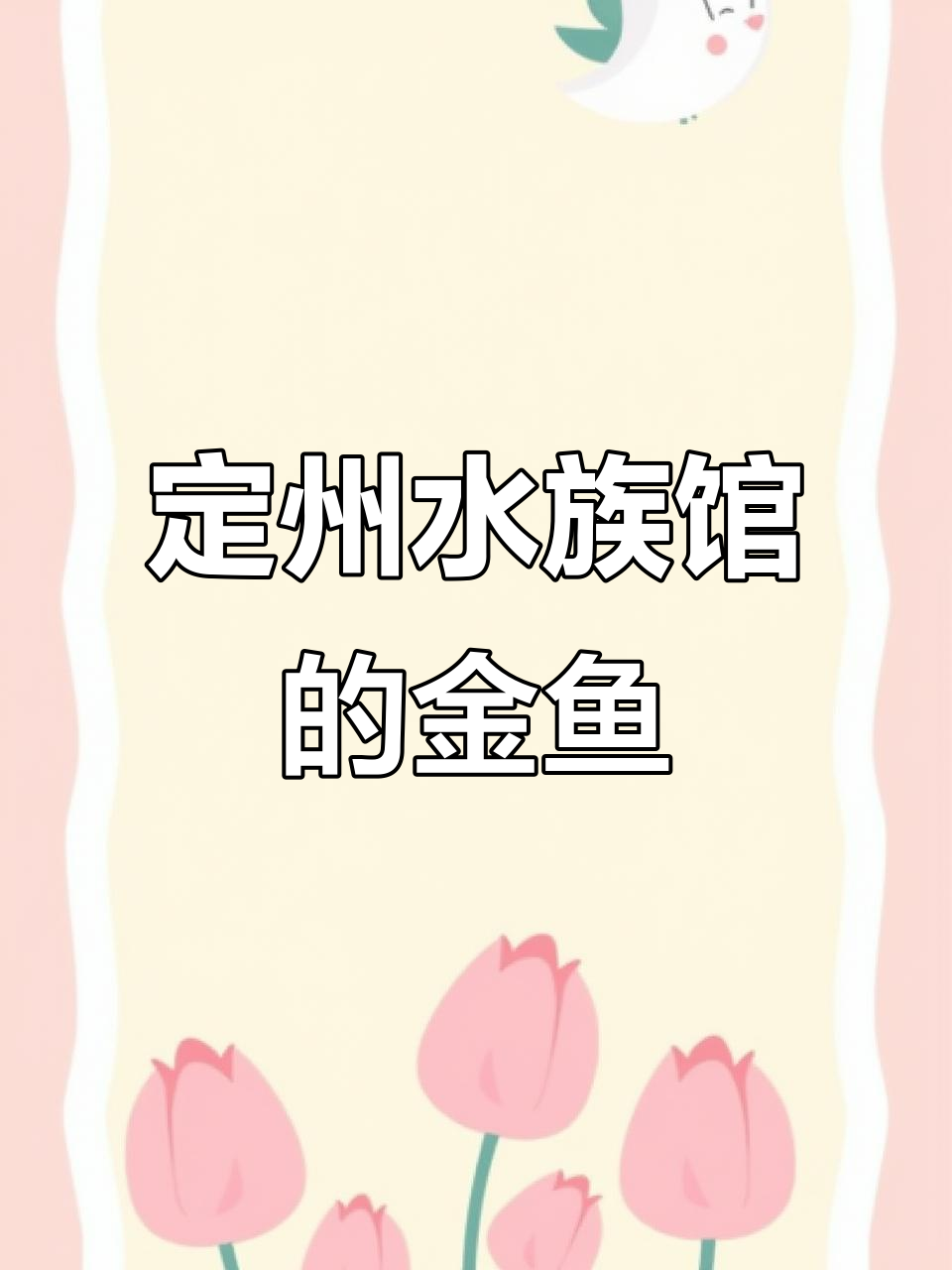 定州十多年水族馆,金鱼色彩斑斓,状态极佳