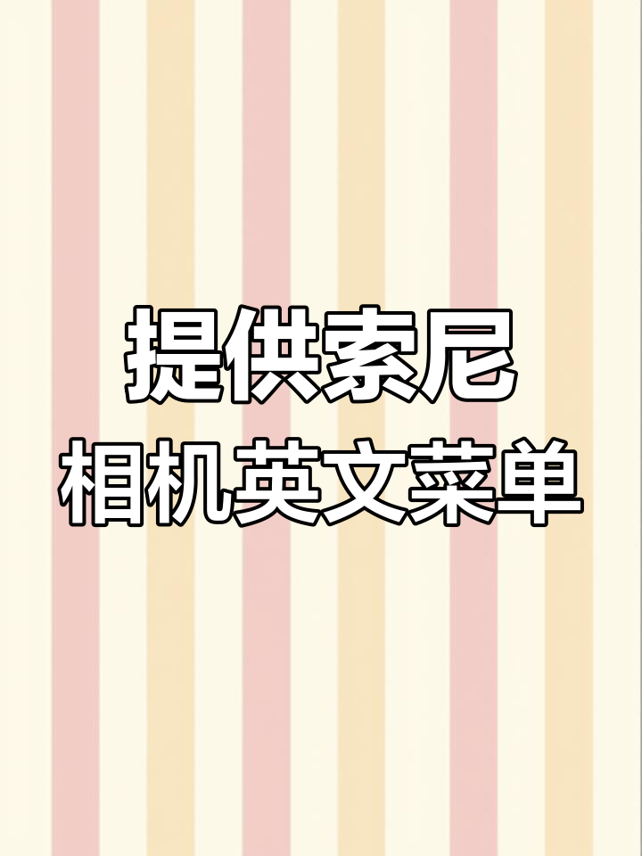 索尼相机英文菜单定制服务,轻松解决语言问题