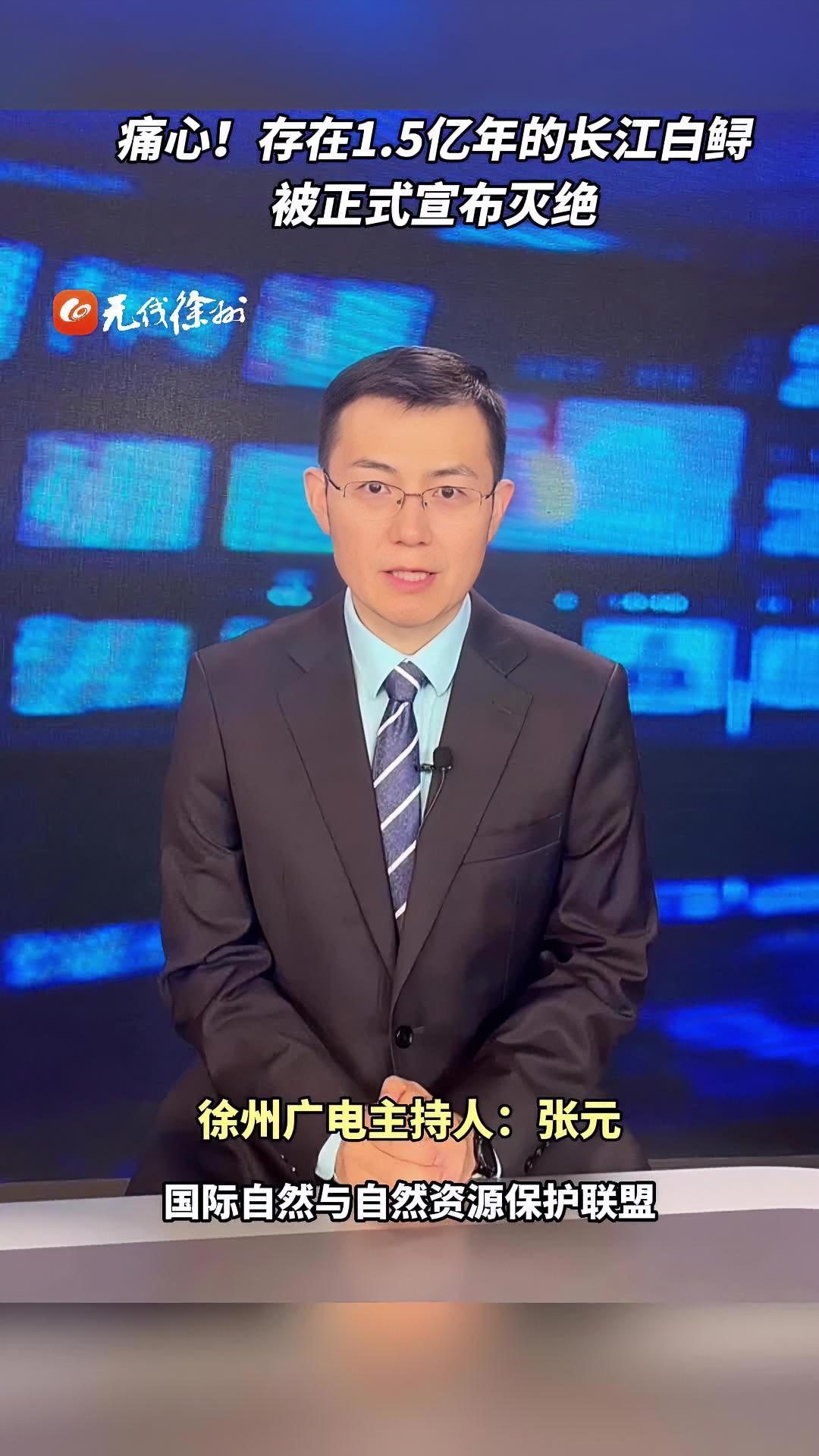 存在1.5亿年的长江白鲟被正式宣布灭绝!