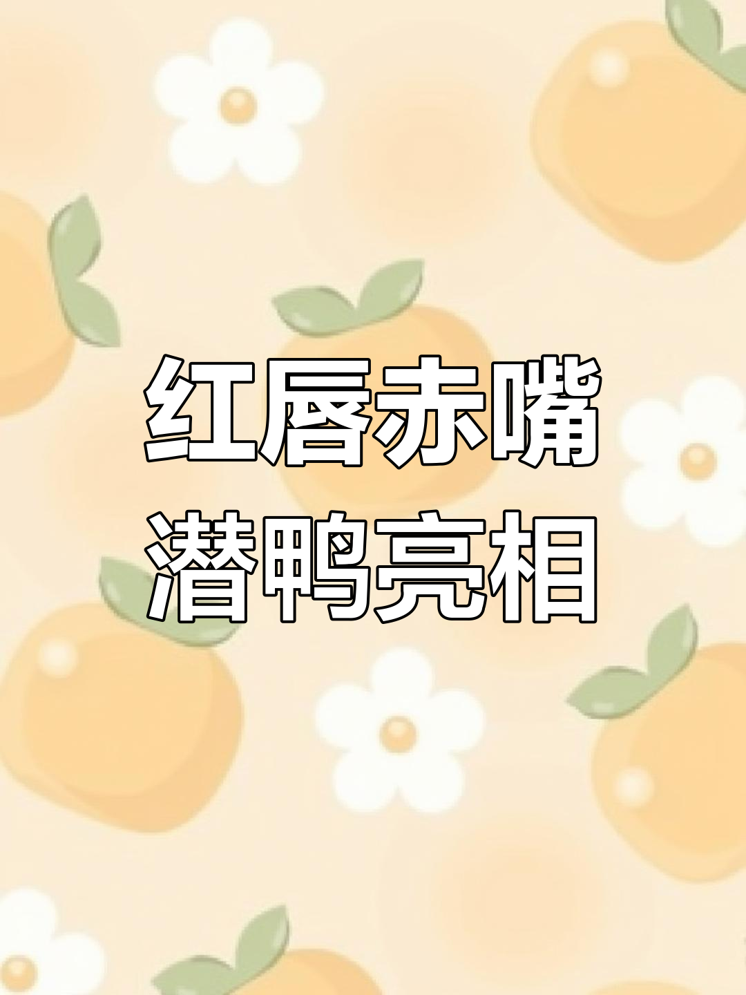 丽水景宁现罕见赤嘴潜鸭,刷新纪录