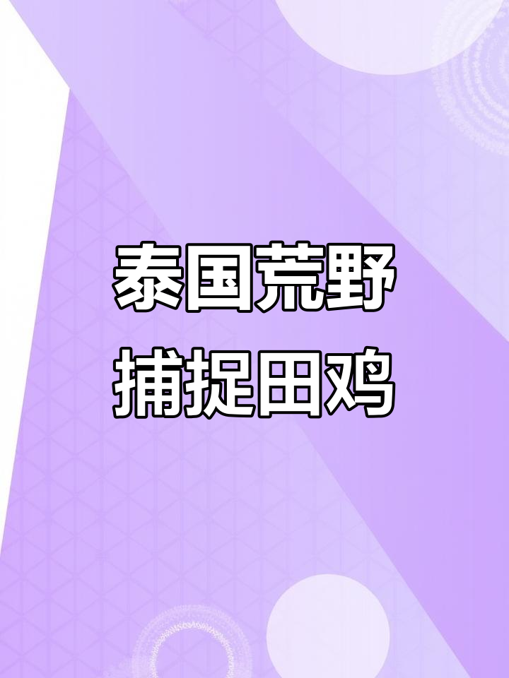 泰国干枯稻田大捕田鸡,狂暴猎手一网打尽