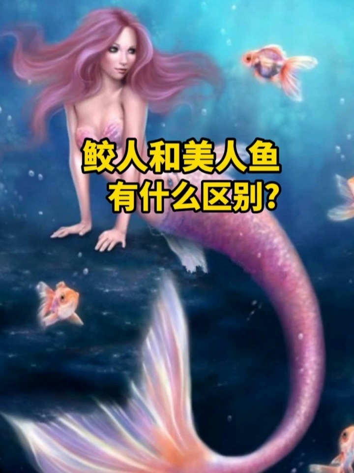 鲛人和美人鱼有什么区别?
