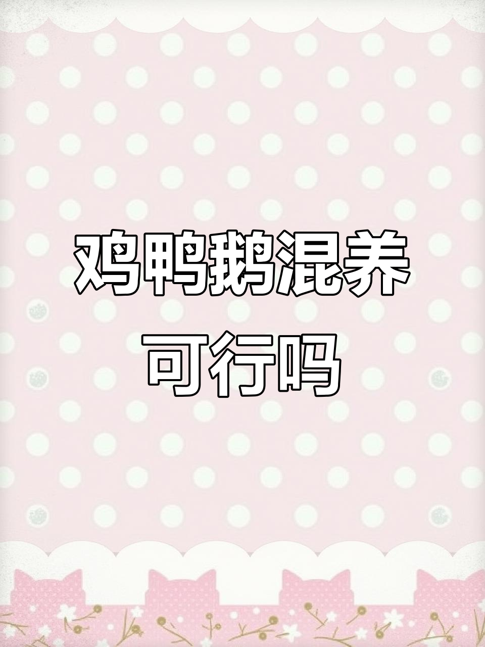 鸡鸭鹅能一起养吗？家庭散养的利与弊