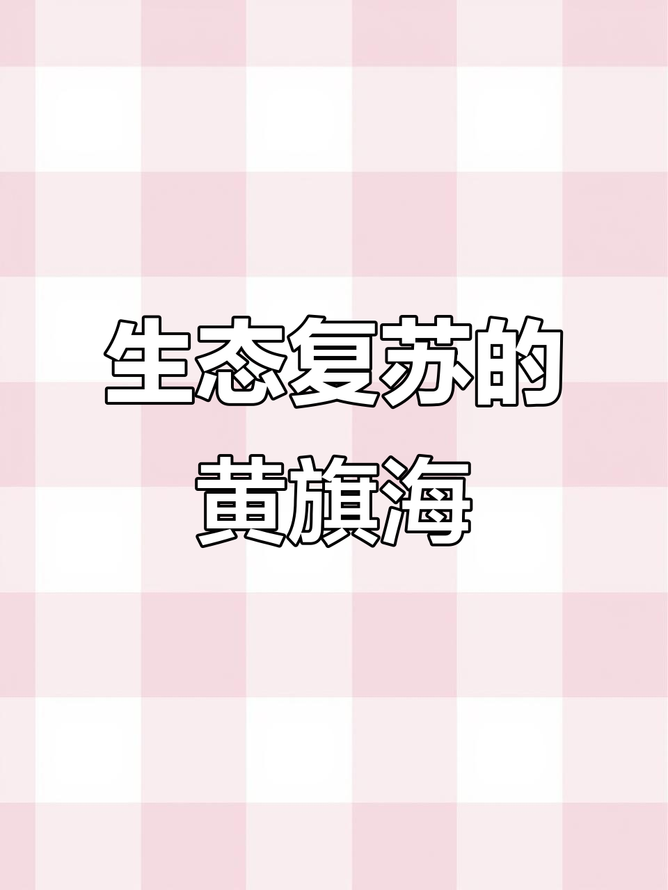 黄旗海重现生机，鱼鸟共舞，千年往事尽显眼前