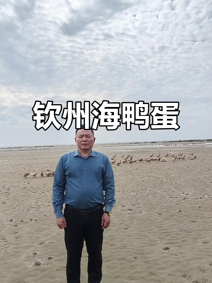 钦州海鸭蛋:天然牧场孕育的珍品,营养丰富老少皆宜