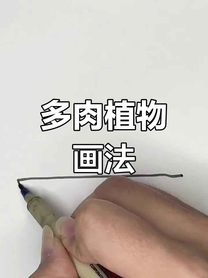 可爱多肉简笔画教程