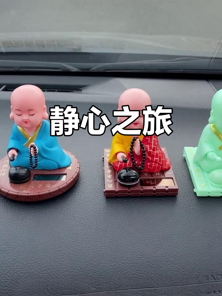 小和尚敲木鱼,光影中静心开车,美景令人陶醉