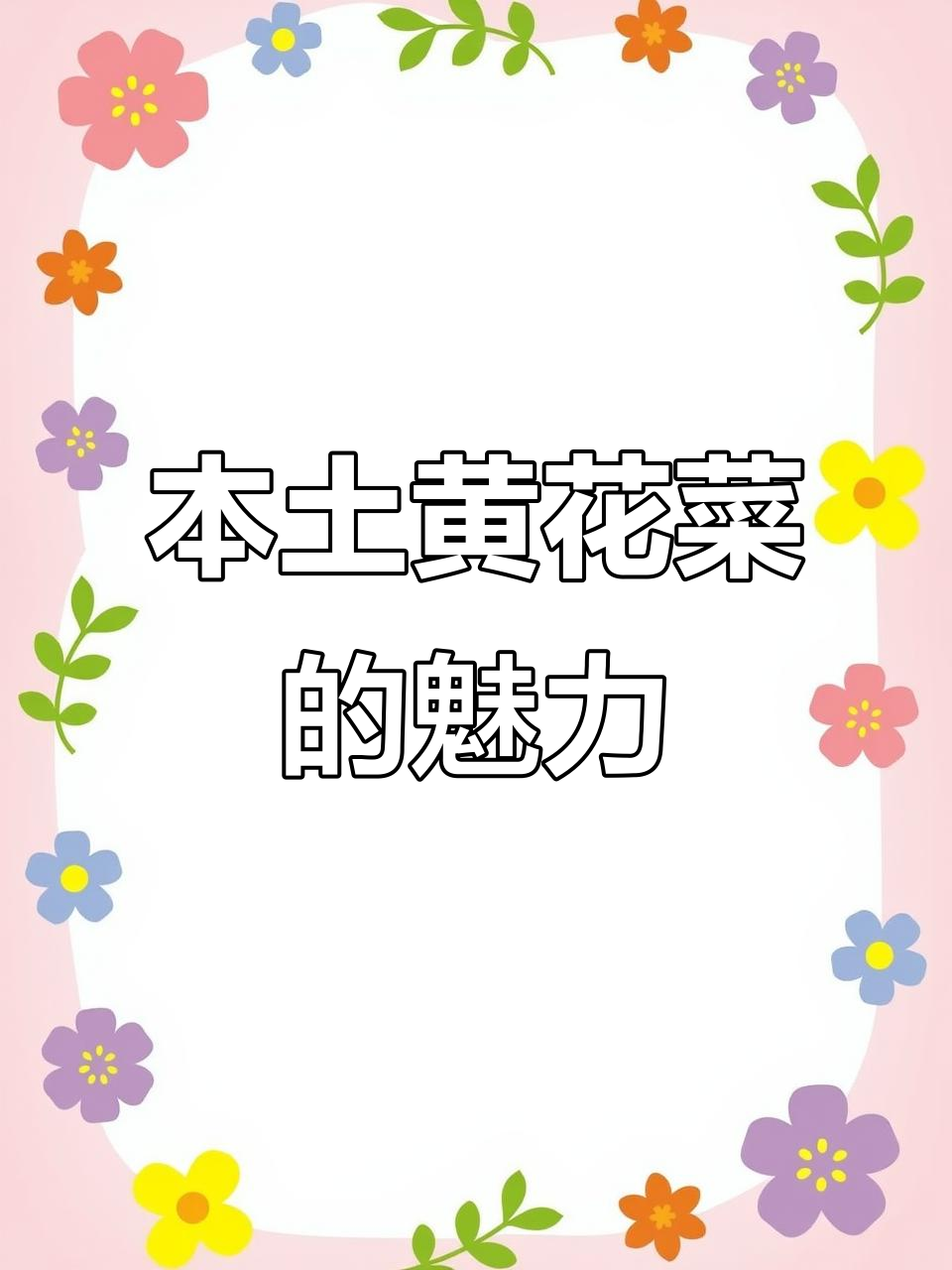 山东本土黄花菜,耐寒又美丽,轻松种植享受花园乐趣