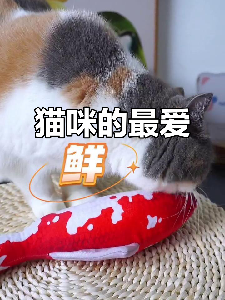 猫咪最爱的是猫薄荷,不是鱼!试试这款“疯狂”的零食吧