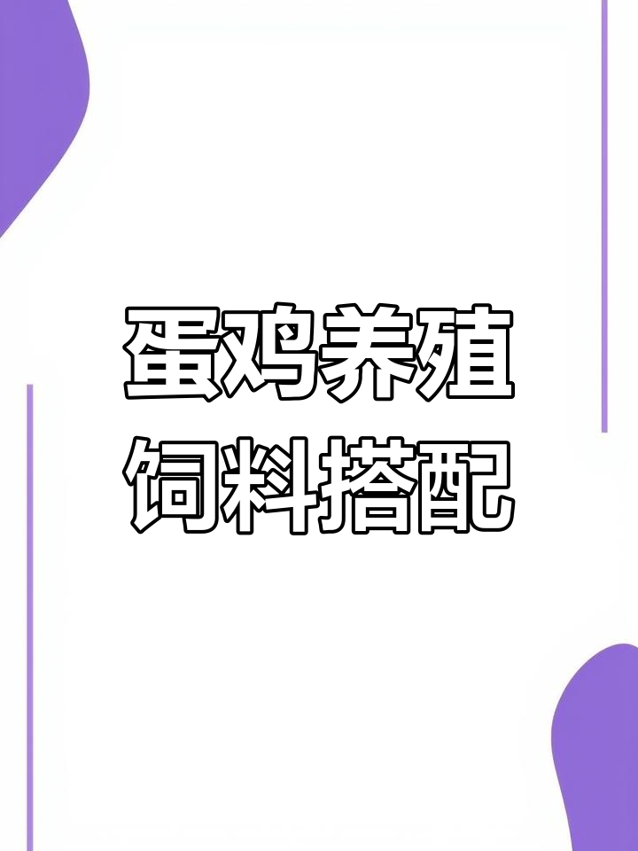 青年鸡饲料配方大揭秘,助力健康成长