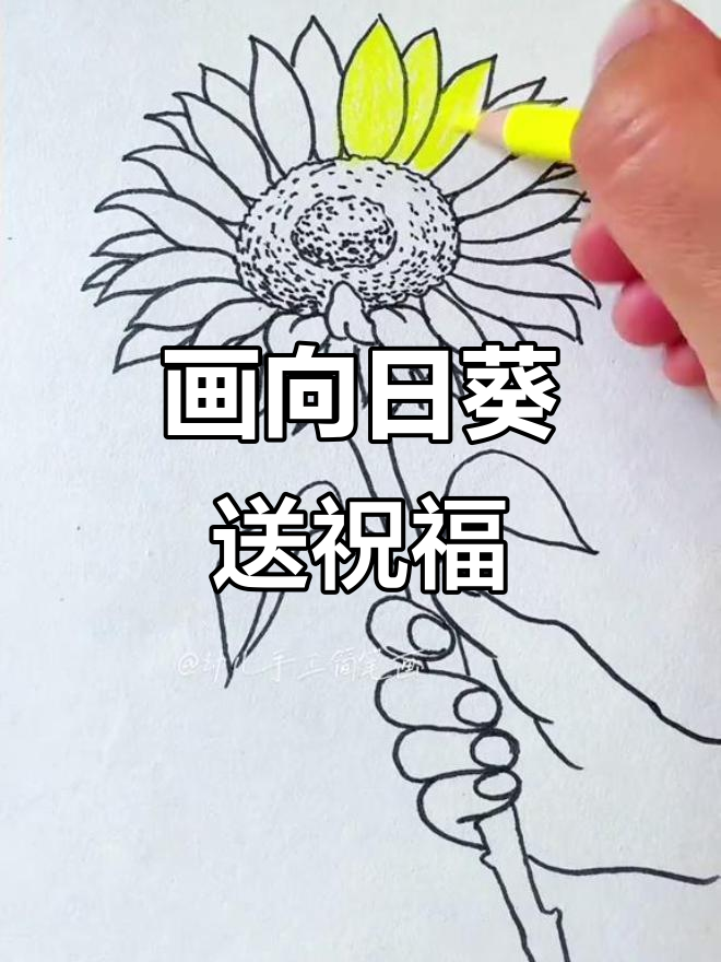 向日葵简笔画教程,高考加油!