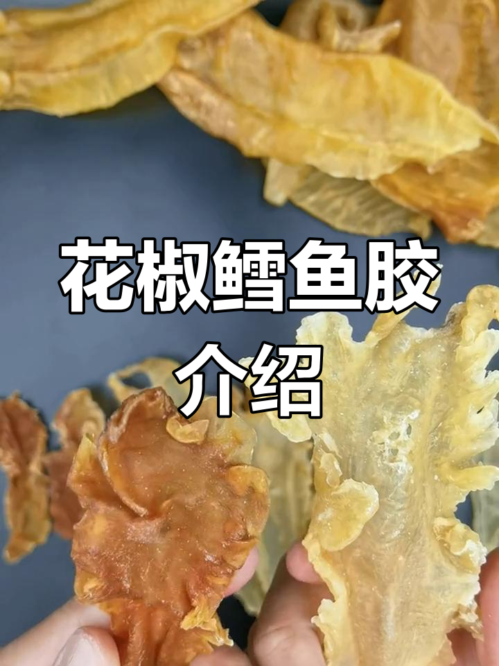 鳕鱼胶品种大揭秘:冰岛、挪威与新西兰的差异