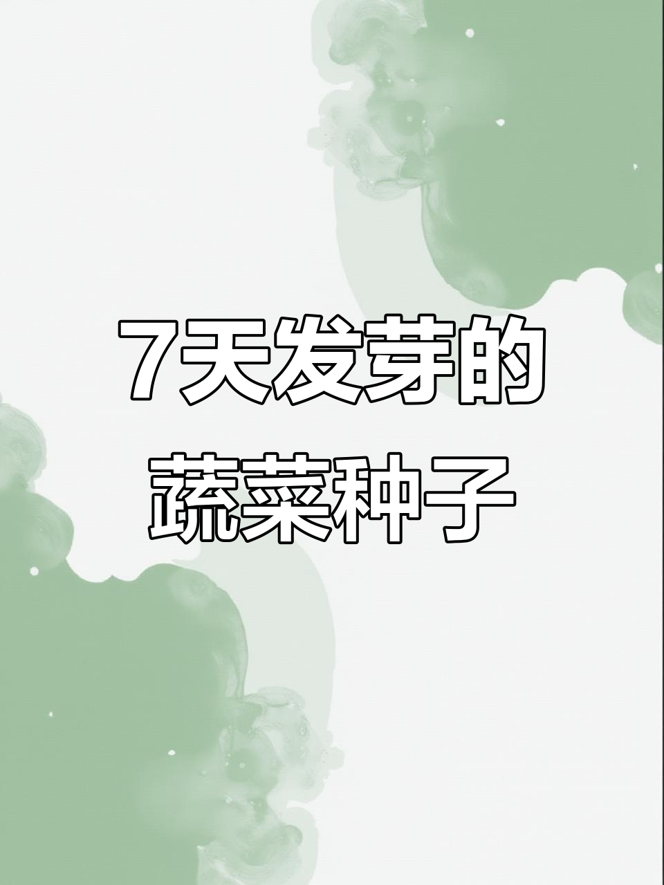 7种常见菜种子,几天能发芽?了解种植小技巧