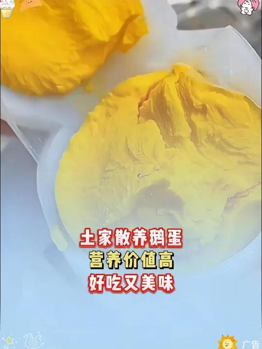 农家散养土鹅蛋,个大Q弹好营养 营养丰富 鹅蛋 鹅蛋的营养价值
