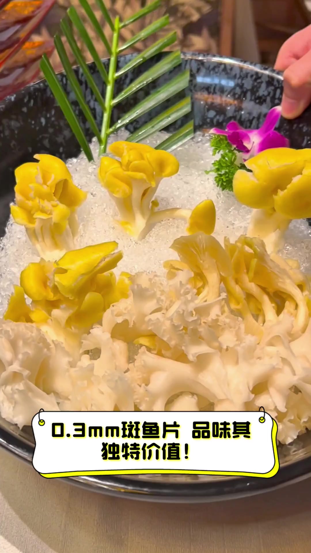 0.3mm斑鱼片,品味其独特价值!