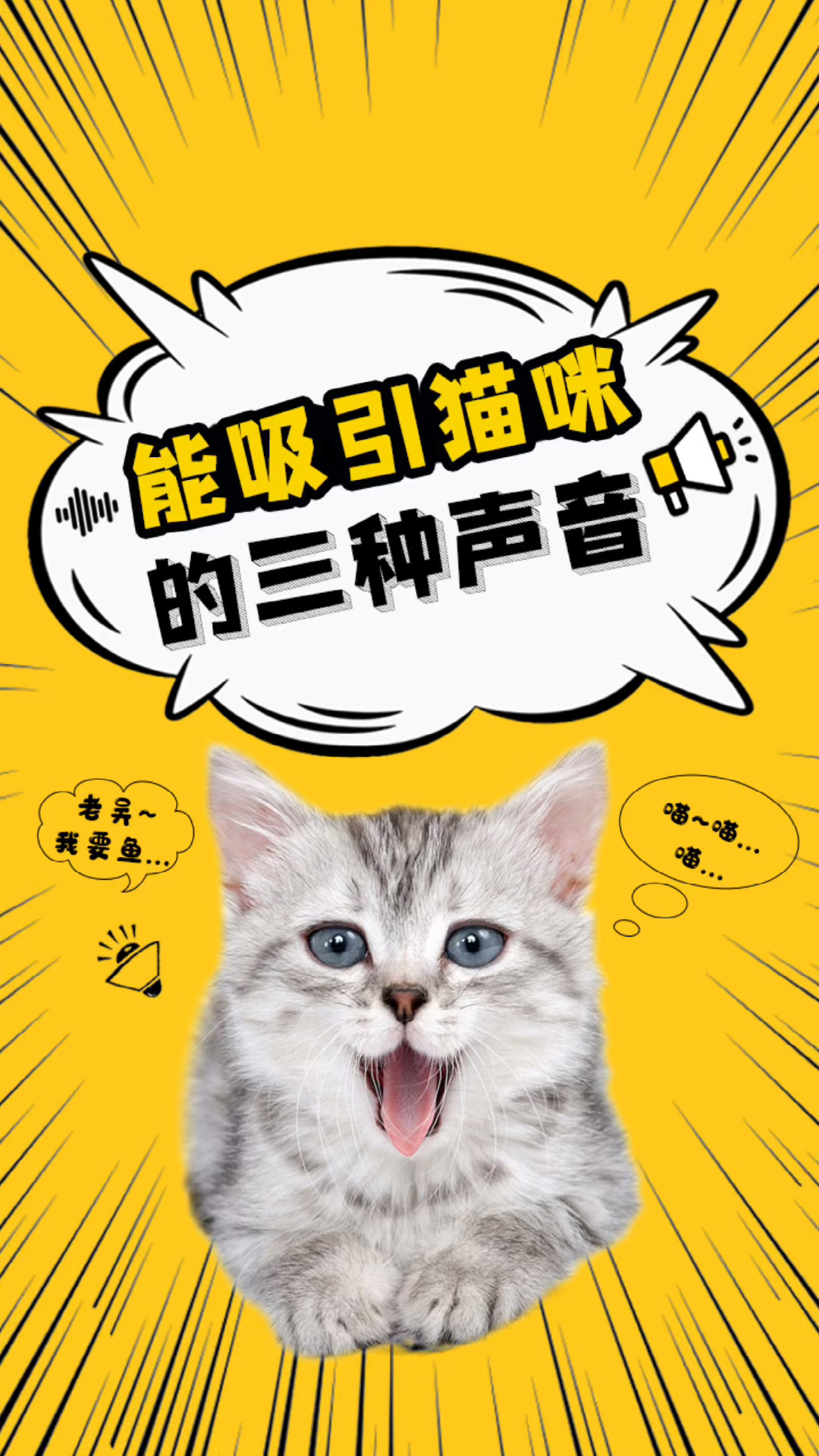 快速召唤小猫咪的3种声音