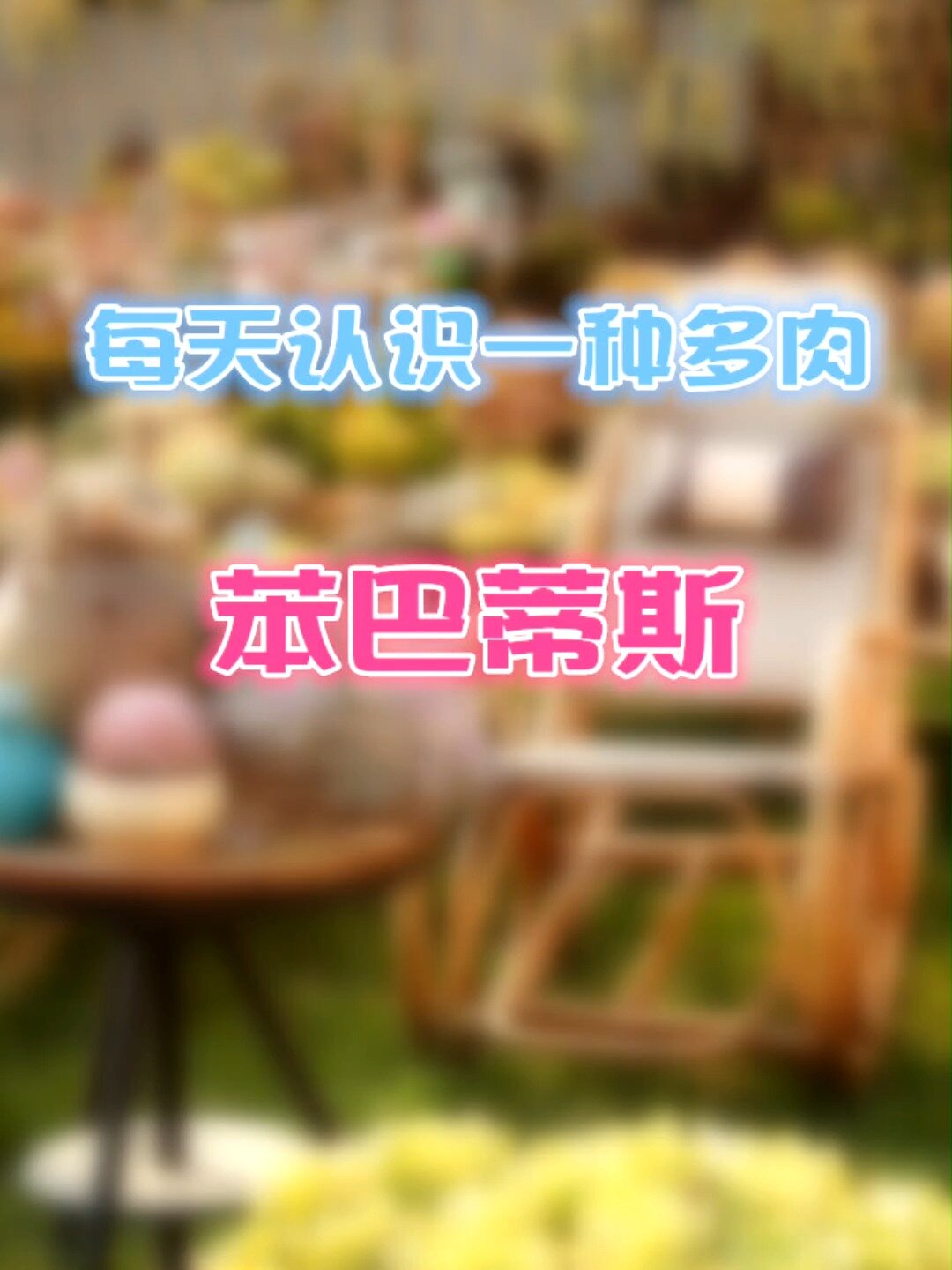羽安讲多肉:苯巴蒂斯