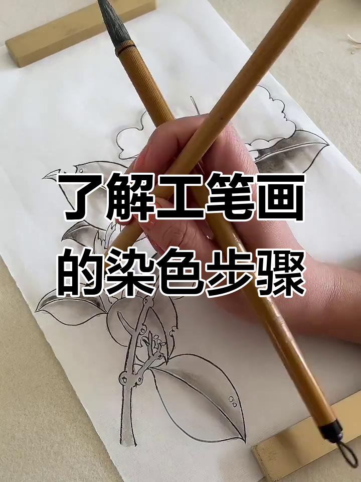 工笔画染色技巧大揭秘:分染与照染全过程解析