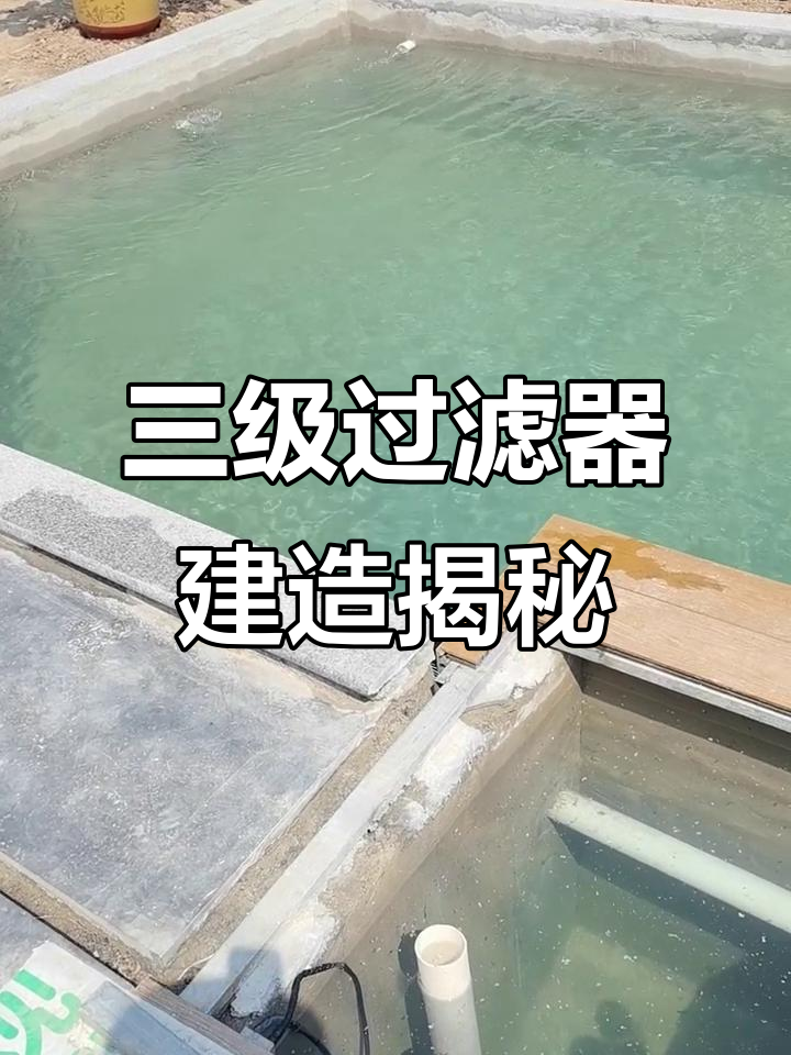 锦鲤鱼池三级过滤系统全解析：从排污到清水循环