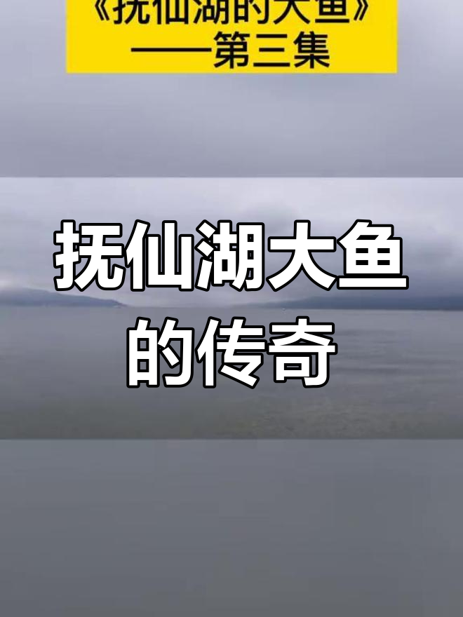 抚仙湖惊现巨型青鱼,白鱼护航场面震撼