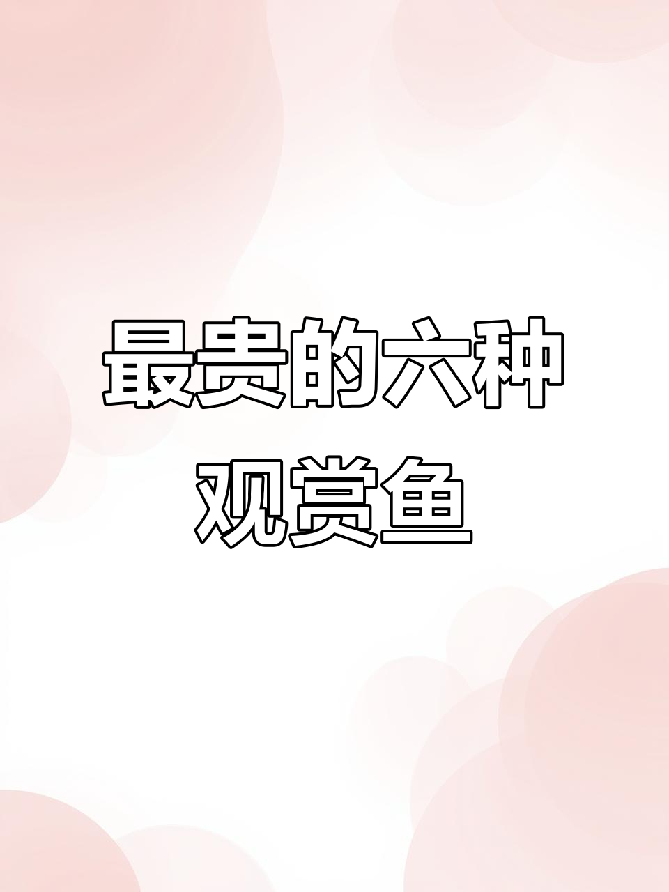 世界六大最昂贵观赏鱼,你养得起吗?