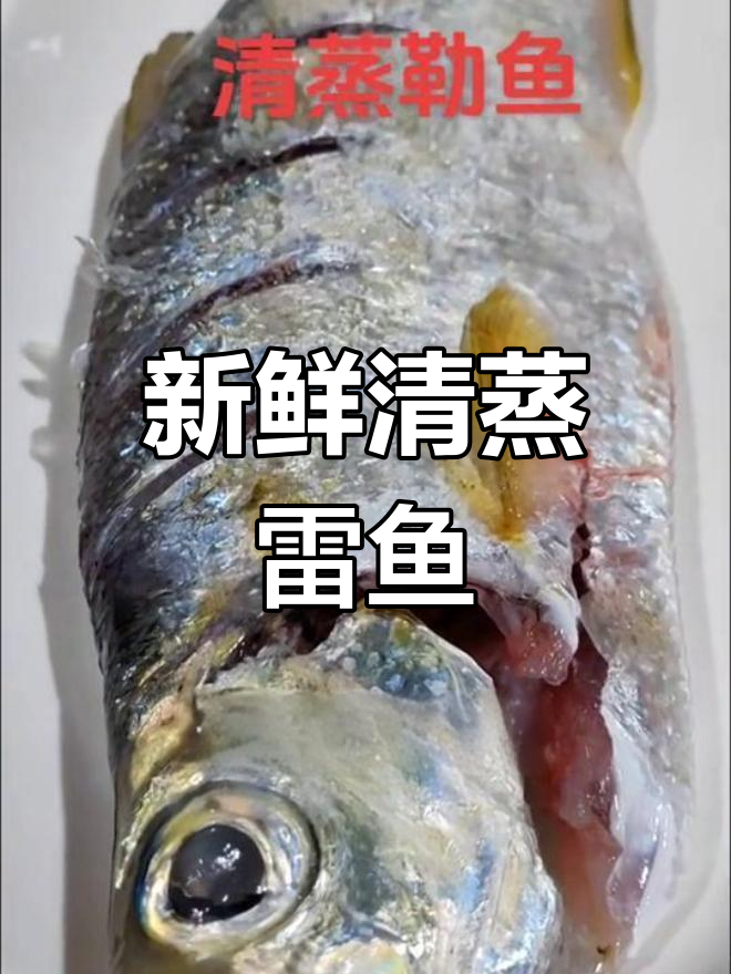 清蒸鲤鱼,鲜美至极
