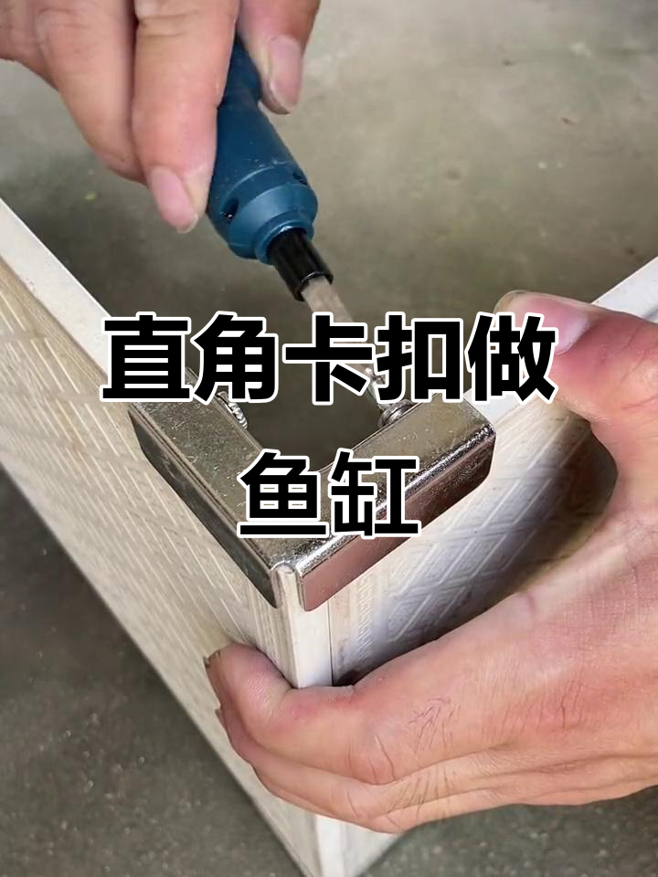 用废旧地板砖打造阳台鱼池,简单又实用