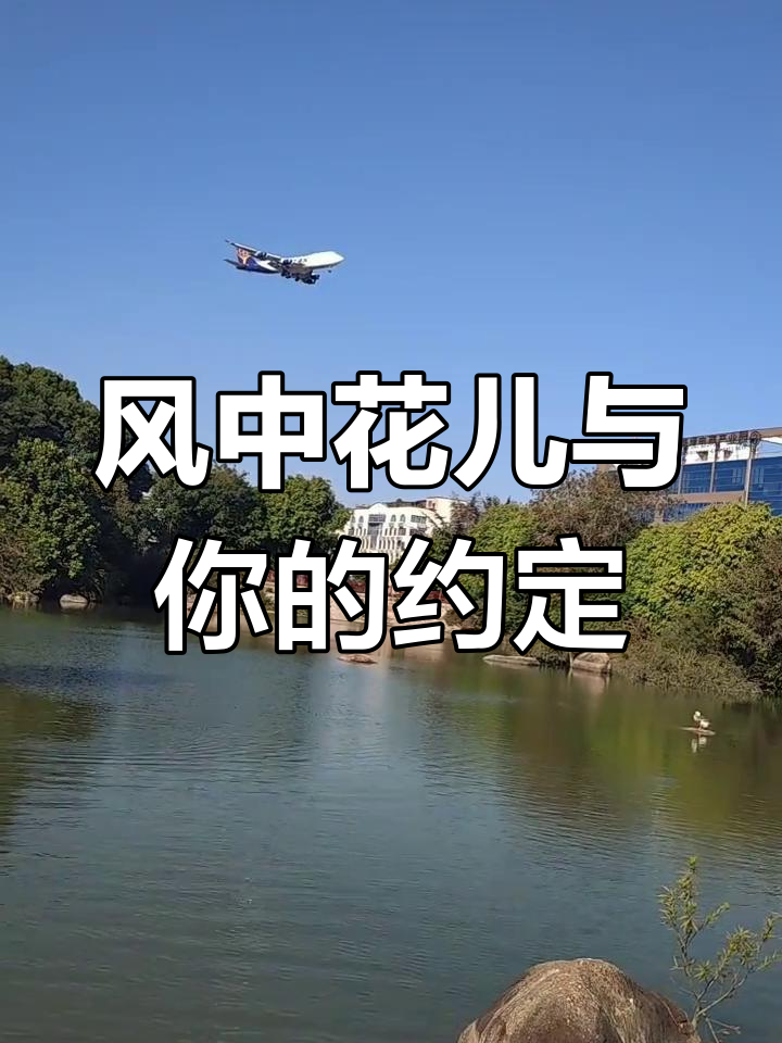 2025年1月30日厦门湖里悦华酒店天鹅湖畔邂逅