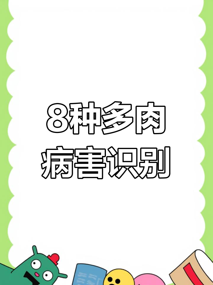 多肉植物八大常见病害及防治方法,新手必看!