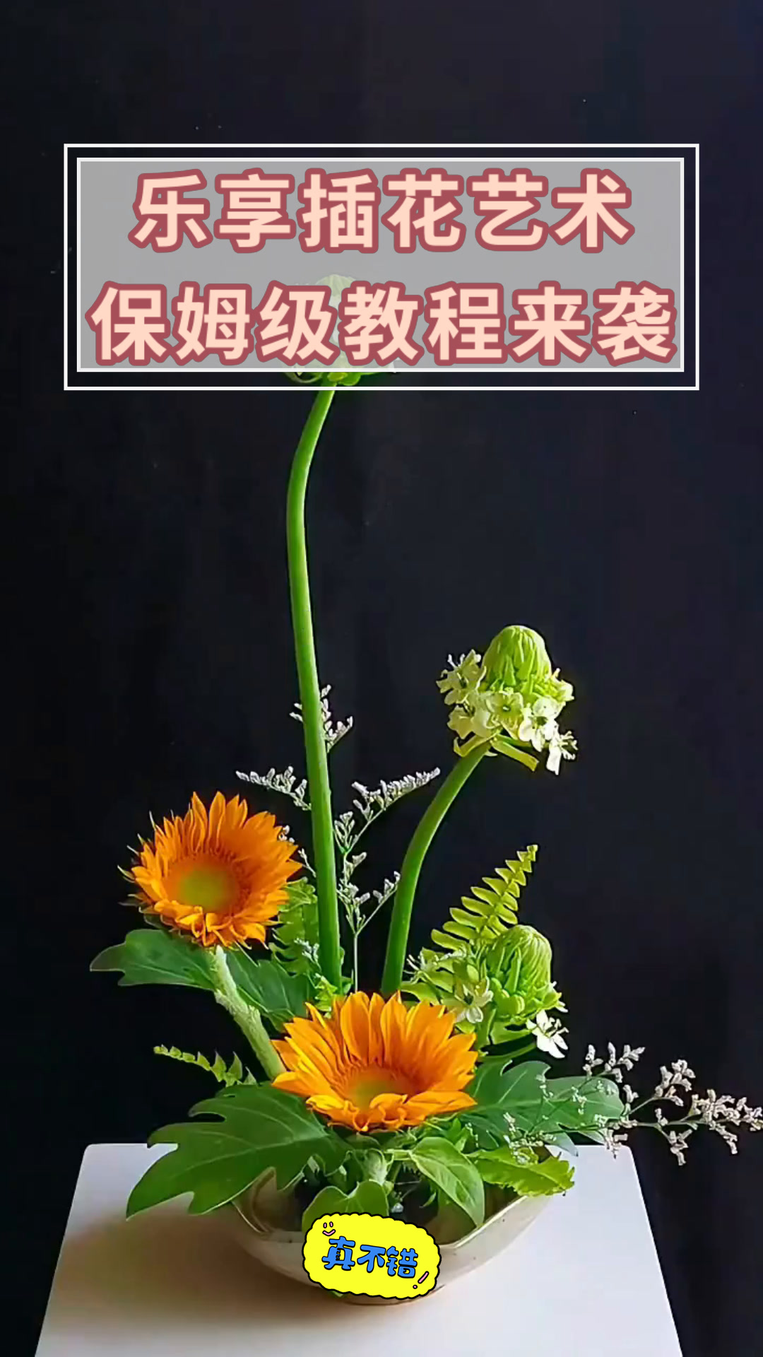 乐享插花艺术保姆级教程来袭