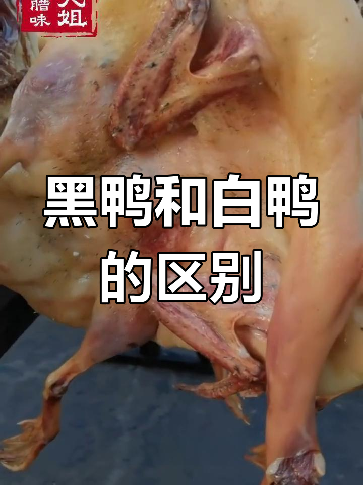如何区分黑鸭与白鸭