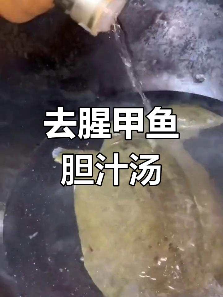 甲鱼胆汁炖汤,去腥增香秘诀大揭秘