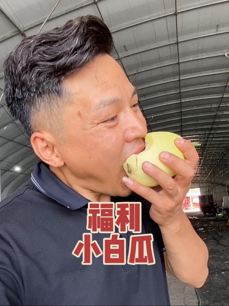 福利小白瓜