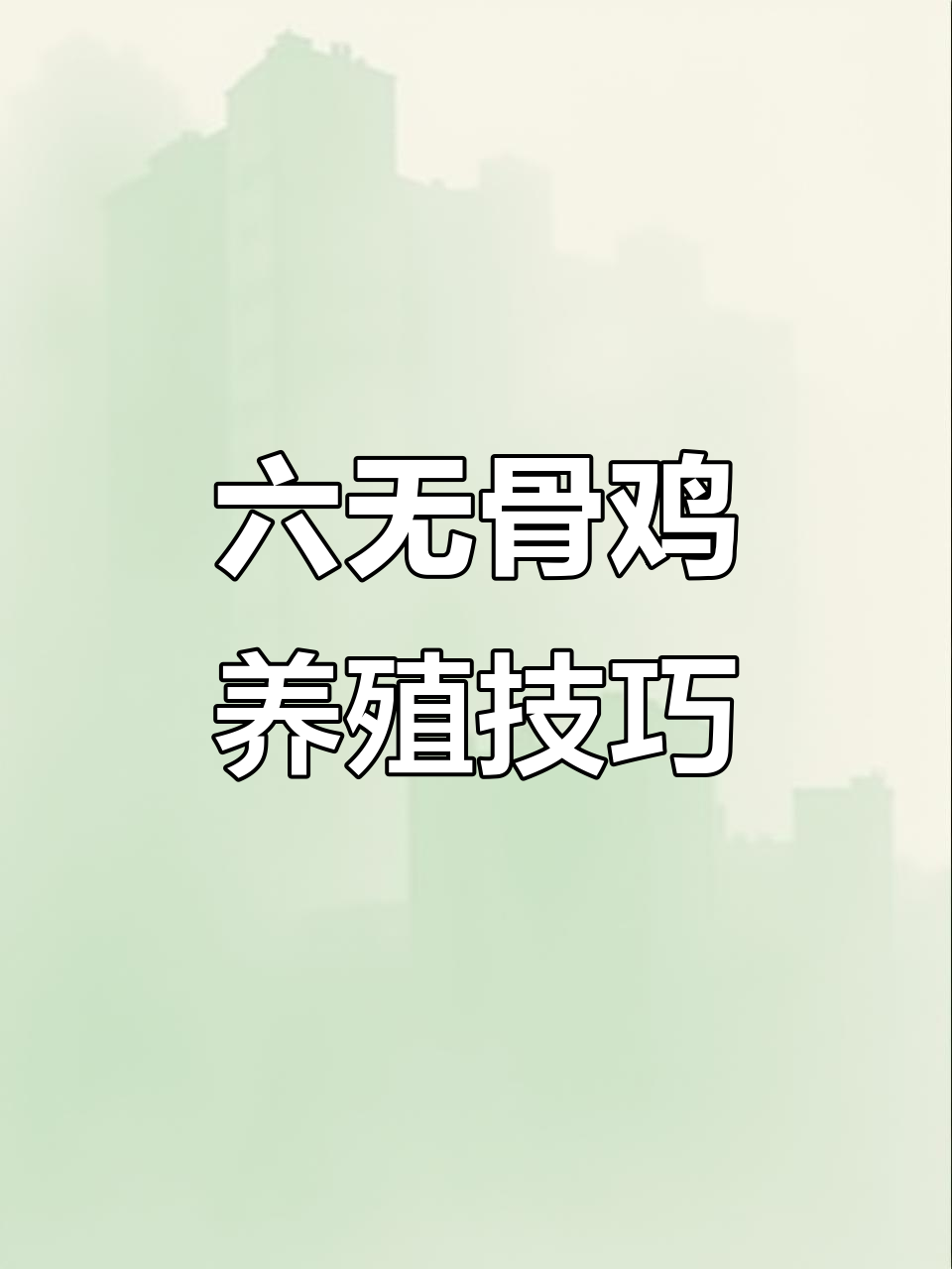 散养六无骨鸡:如何搭建简易鸡舍与放养训练