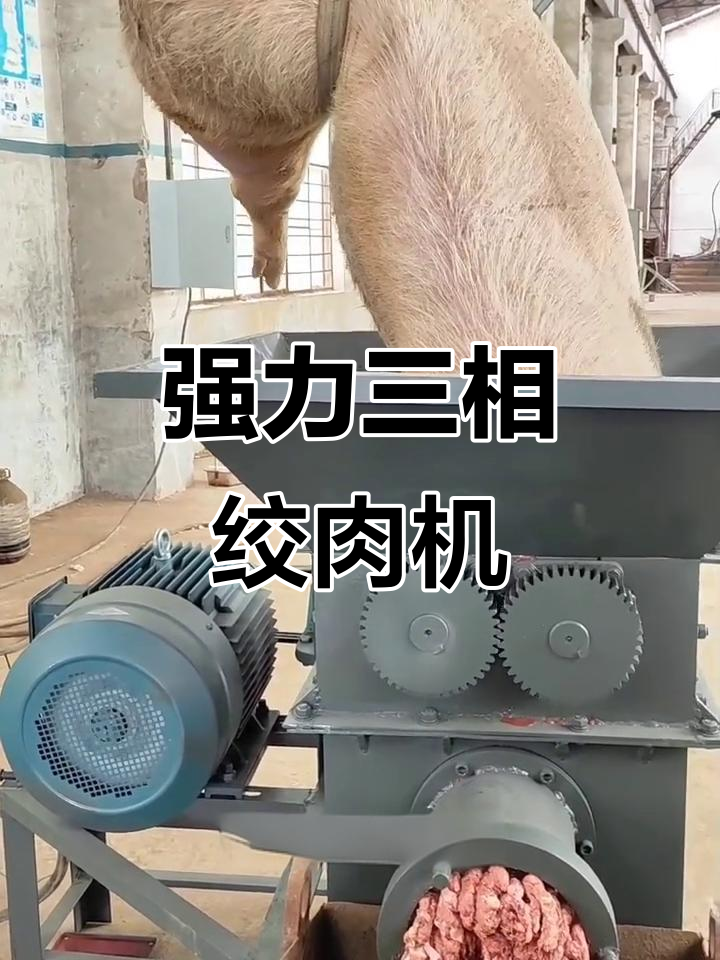三相电绞肉机,轻松撕碎整猪,养殖场必备饲料加工神器