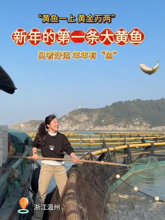 “黄鱼一上,黄金万两”,浙江温州南麂岛的新年第一条黄鱼,祝见者好运,年年有“鱼”!