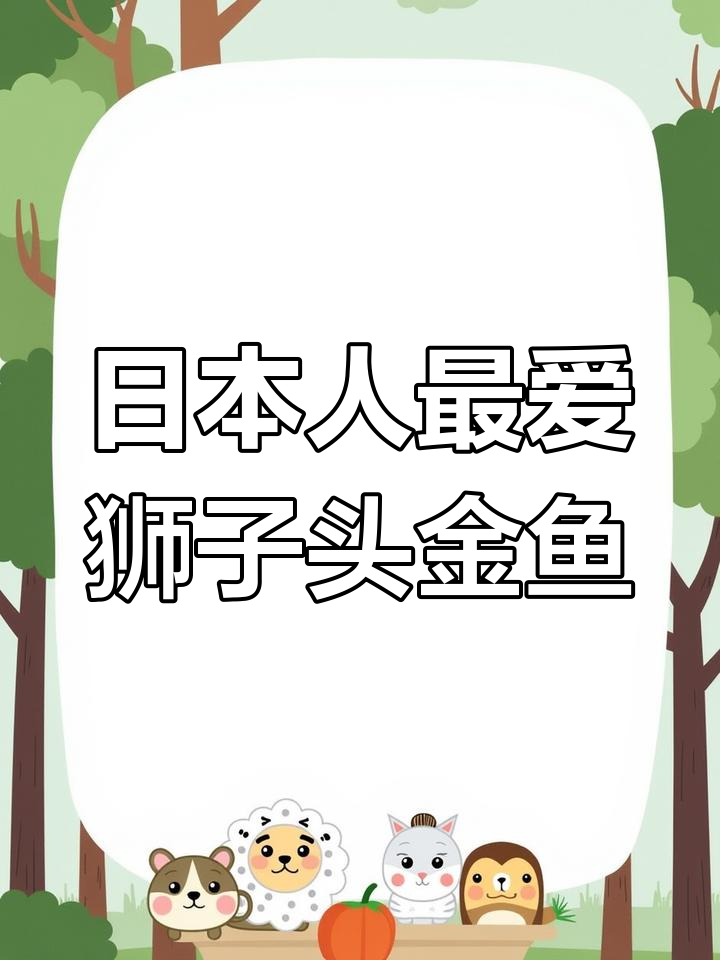狮子头金鱼:从雄狮到最爱的宠物