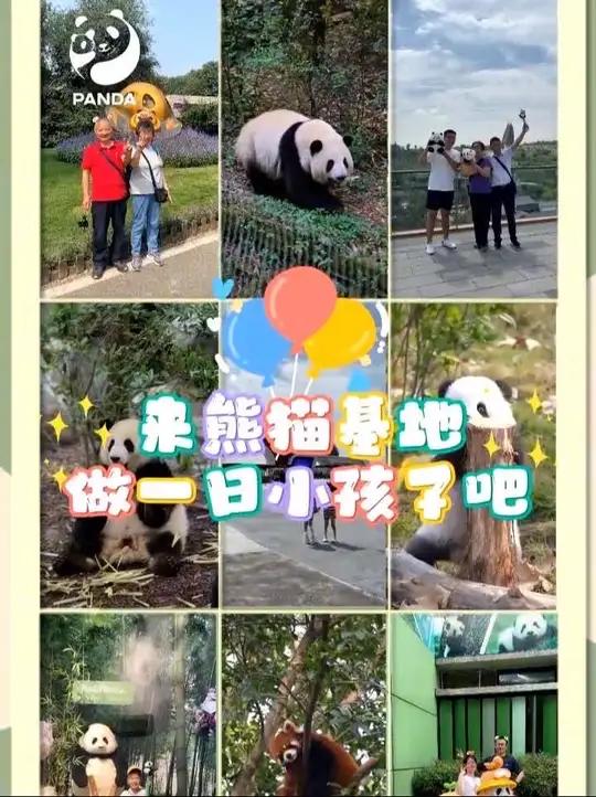「在熊猫基地,做一日小孩」不管几岁,快乐万岁～祝所有大朋友小朋友们,六一儿童节快乐!(视频