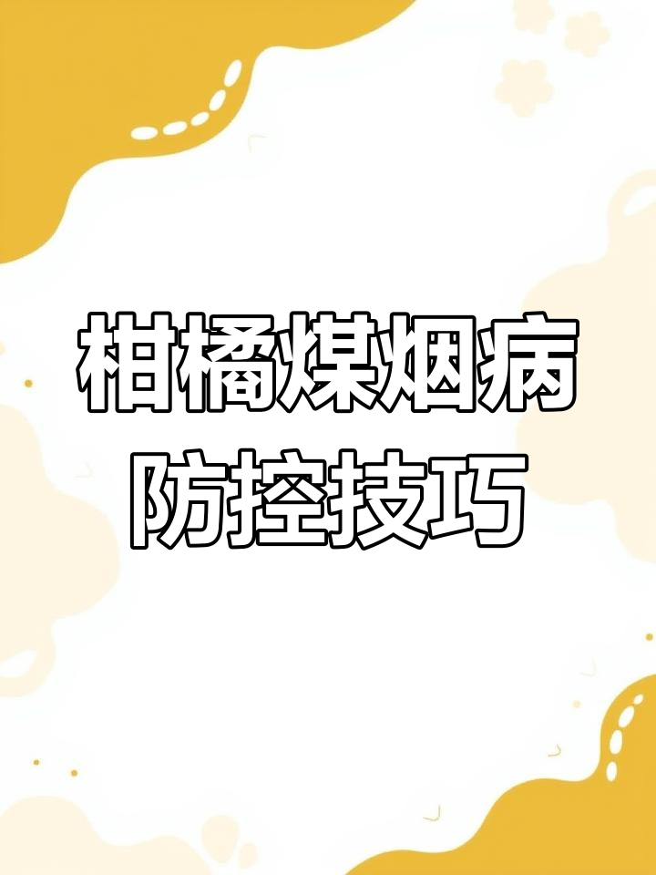 柑橘煤烟病症状与防治方法全解析