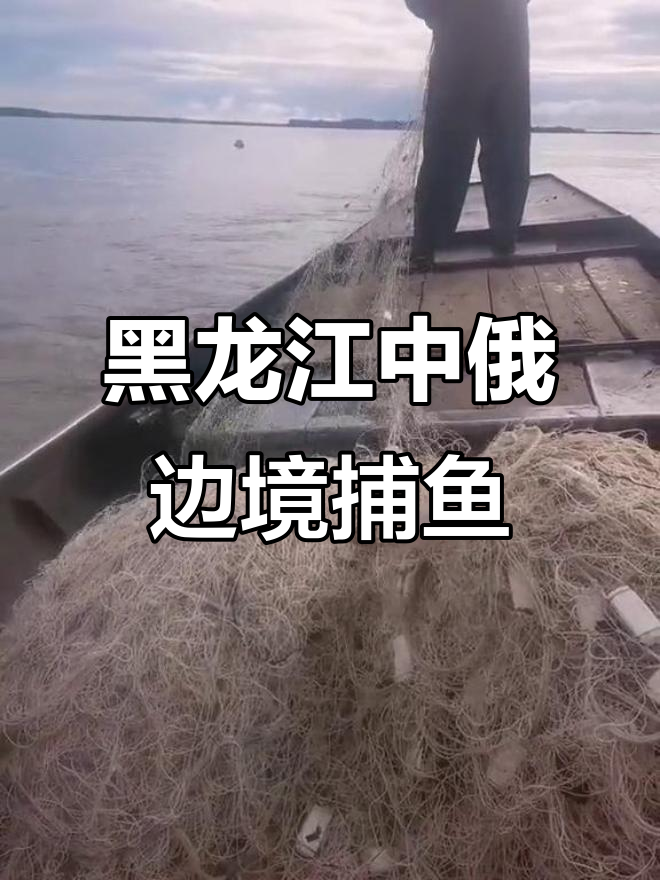 中俄界江捕鱼直播,千米尼龙网下大货来袭