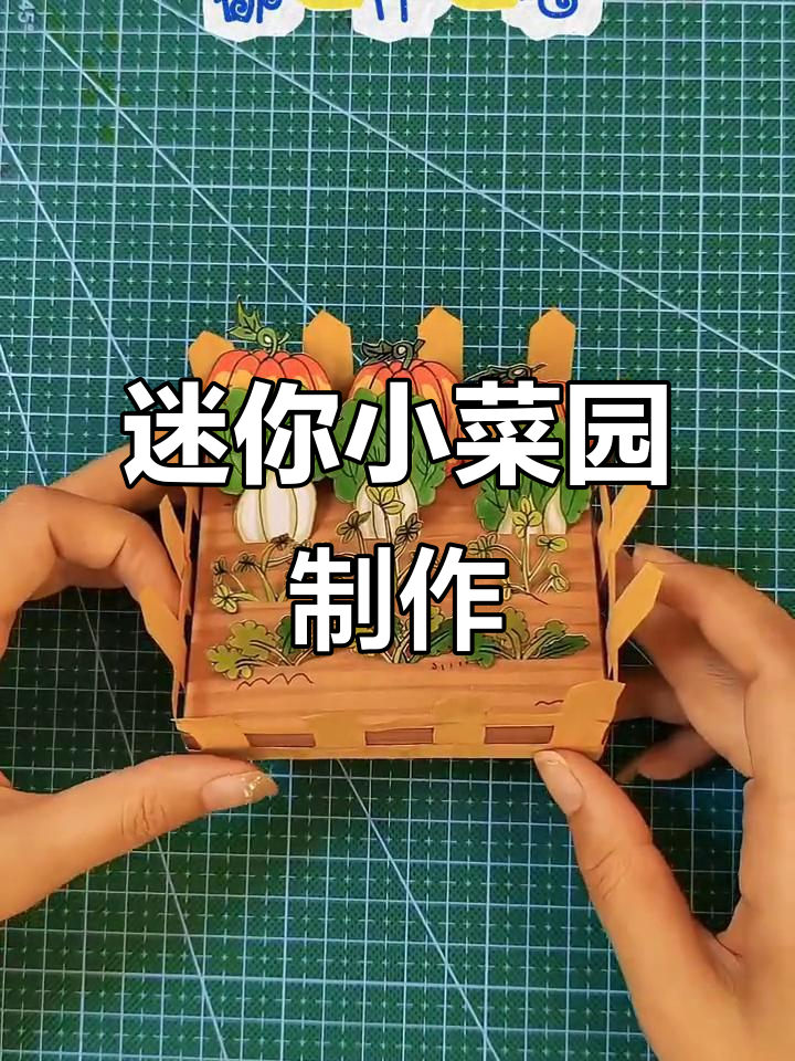 小菜地大变身,迷你蔬菜手工DIY