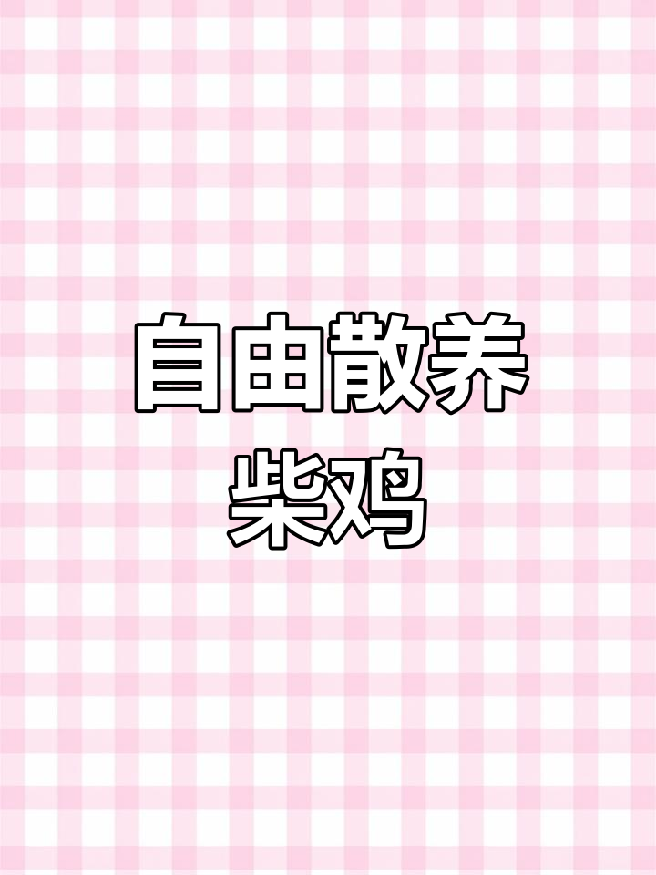 纯种柴鸡苗与土鸡蛋
