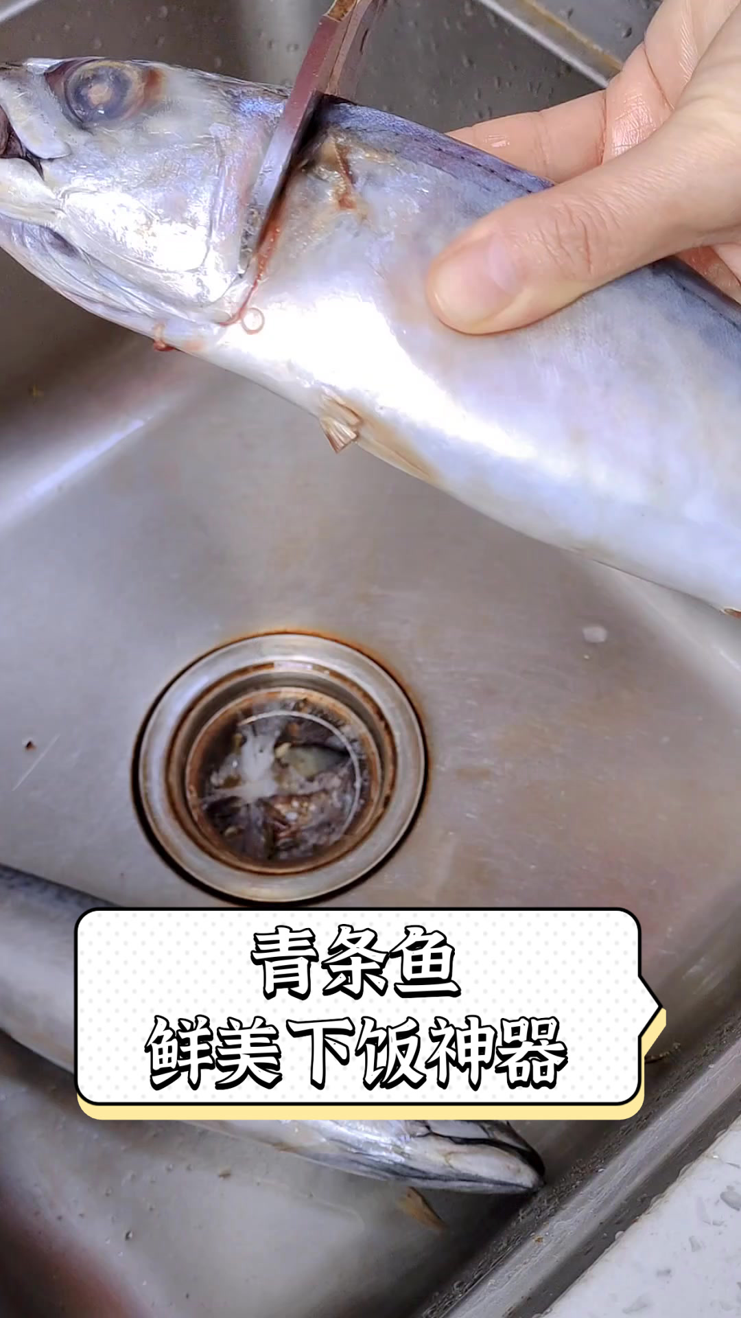 青条鱼,鲜美下饭神器