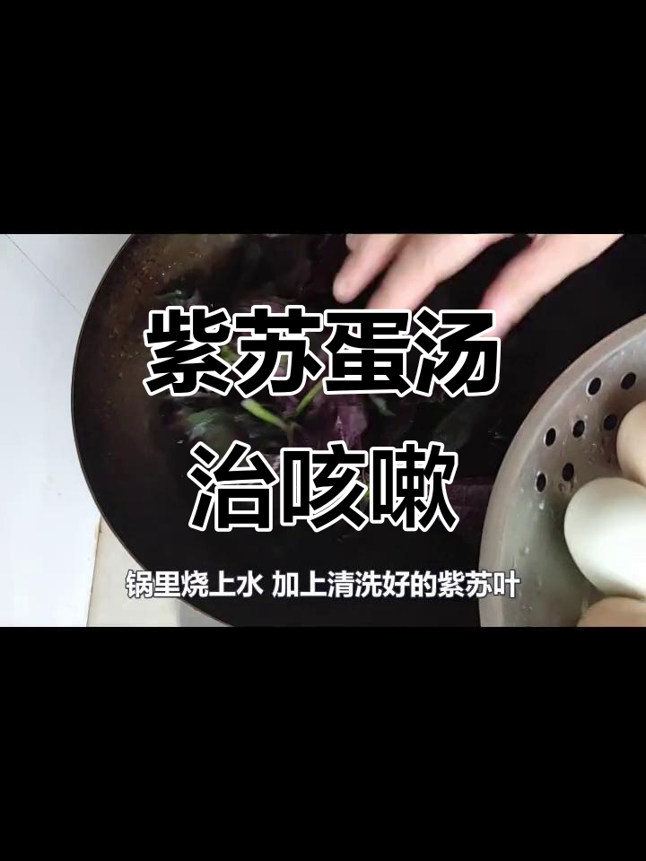 紫苏煮鸡蛋,咳嗽不再烦恼