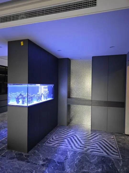 好好看的嵌入式鱼缸隔断啊 你种草了吗