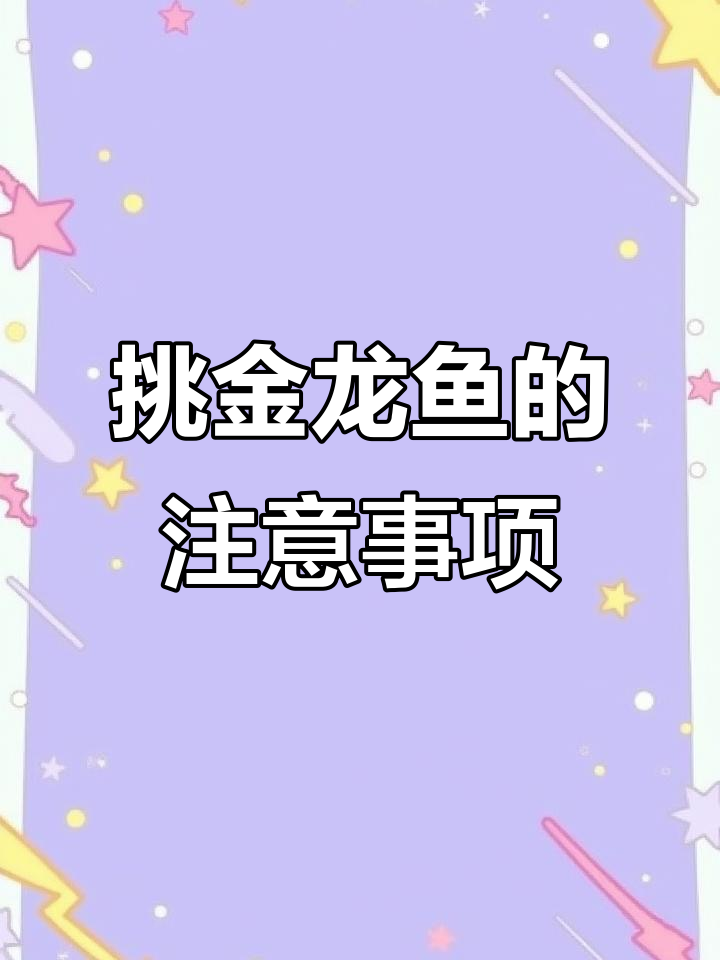 金龙鱼挑选技巧:从爬背到金头,如何选最合适的等级