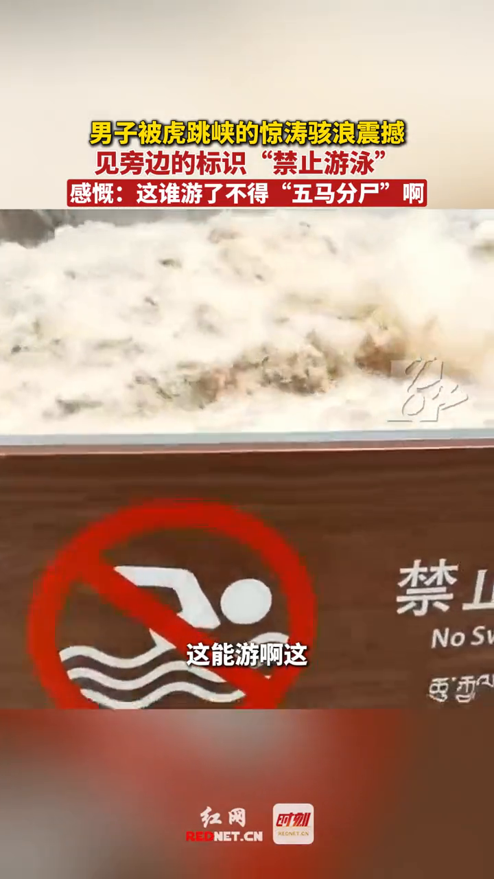 男子被虎跳峡的惊涛骇浪震撼,见旁边的标识“禁止游泳”发感慨