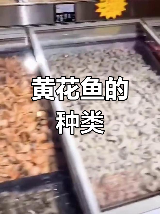 黄花鱼是野生还是养殖?